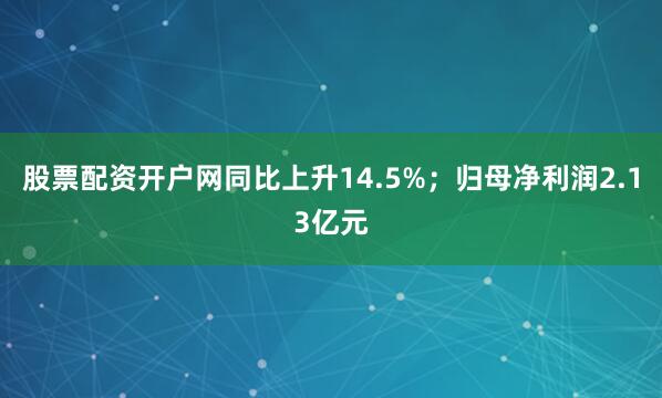 股票配资开户网同比上升14.5%；归母净利润2.13亿元