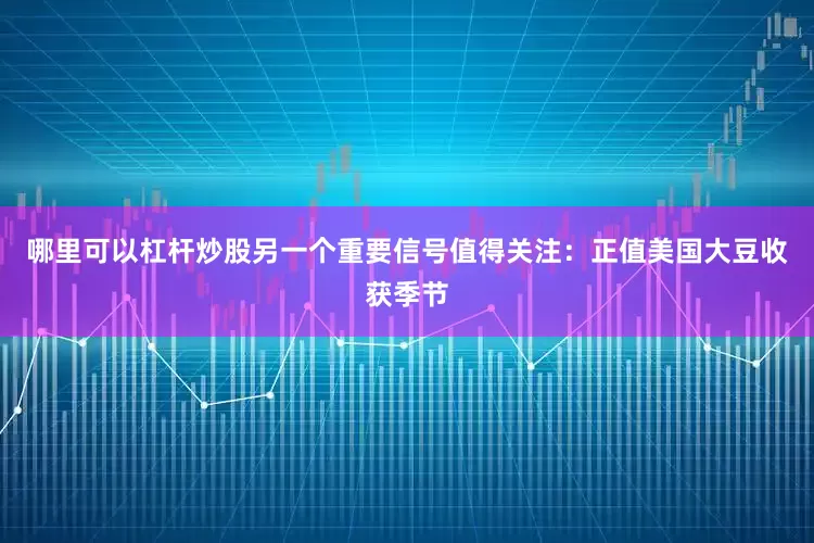哪里可以杠杆炒股另一个重要信号值得关注：正值美国大豆收获季节